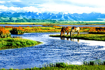 112516-00094_�½�������³�˲�ԭ